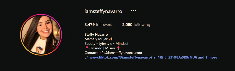 Perfil de Instagram de Steffy Navarro mostrando 3,479 followers